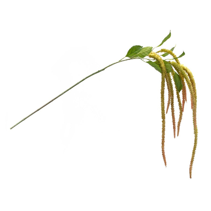 Melrose International Amaranthus Floral Stem, Set of 4, Green