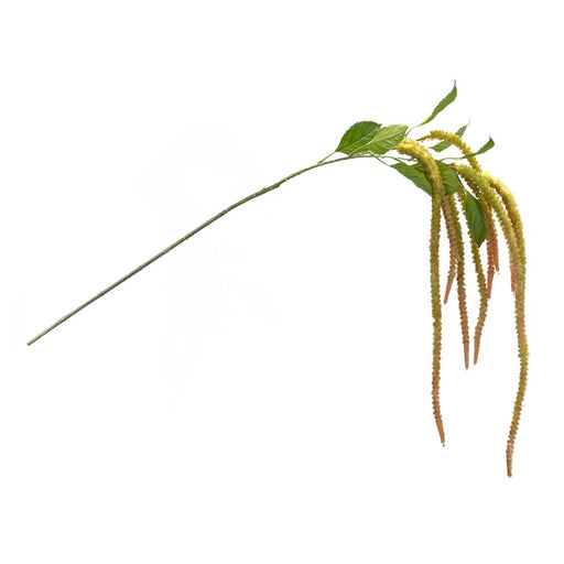 Melrose International Amaranthus Floral Stem, Set of 4, Green
