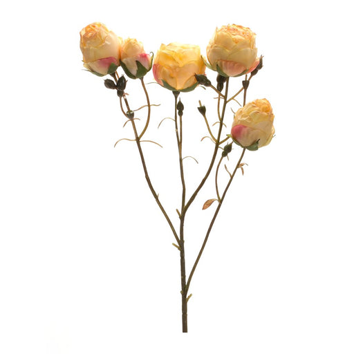 Melrose International Blush Bud Spray, Set of 6, Yellow/Green