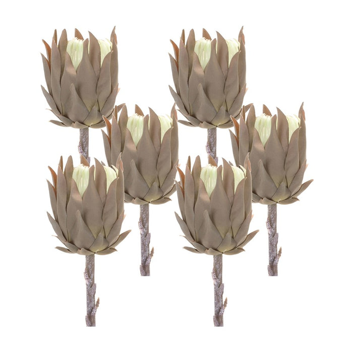 Melrose International Beige Protea Stem, Set of 6, Brown - 85655DS