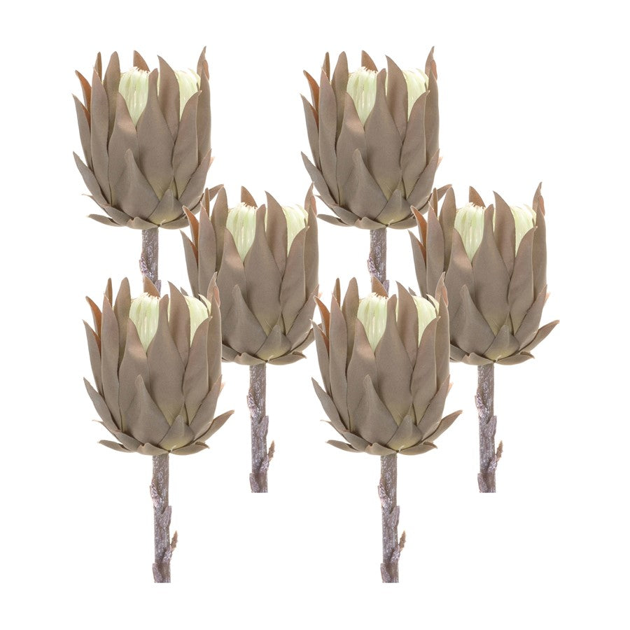 Melrose International Beige Protea Stem, Set of 6, Brown - 85655DS