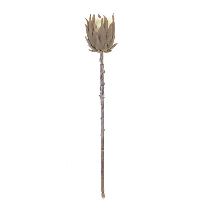 Melrose International Beige Protea Stem, Set of 6, Brown