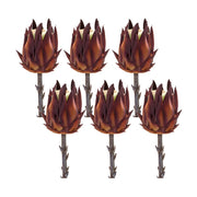 Melrose International Burgandy Protea Stem, Set of 6, Orange/Brown - 85656DS