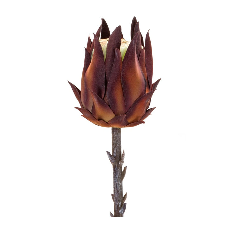 Melrose International Burgandy Protea Stem, Set of 6, Orange/Brown