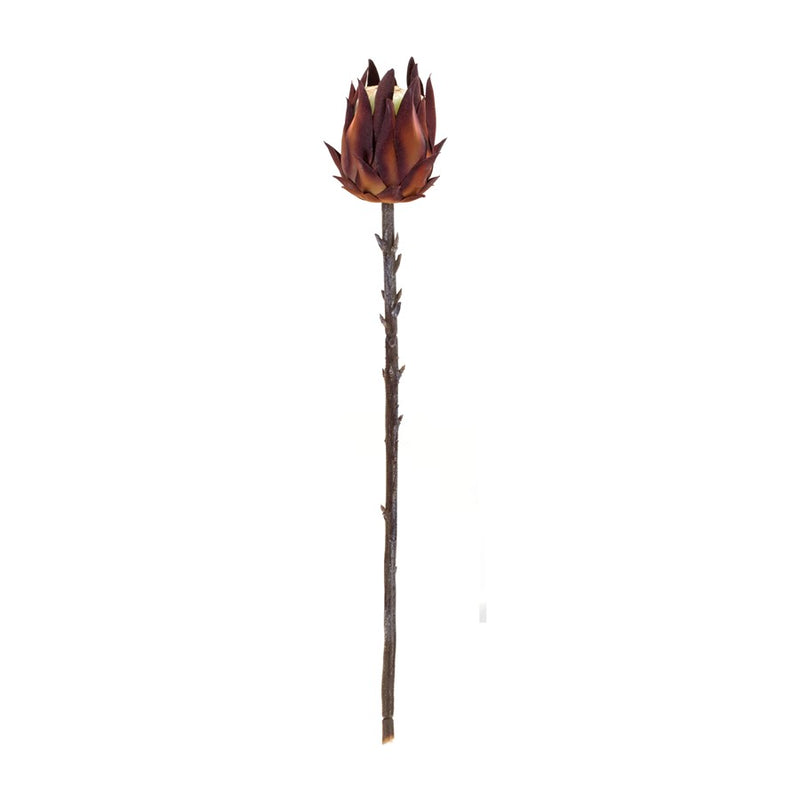 Melrose International Burgandy Protea Stem, Set of 6, Orange/Brown