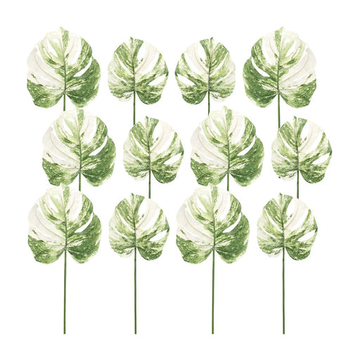 Melrose Light Varigated Philo Leaf Stem, Set of 12, Green/White - 85685DS