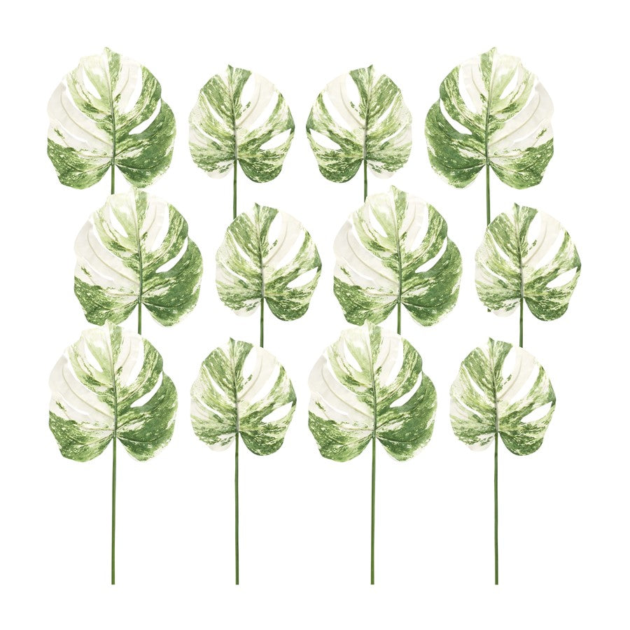 Melrose Light Varigated Philo Leaf Stem, Set of 12, Green/White - 85685DS