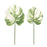 Melrose Light Varigated Philo Leaf Stem, Set of 12, Green/White
