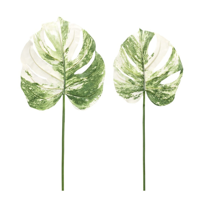 Melrose Light Varigated Philo Leaf Stem, Set of 12, Green/White