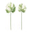 Melrose Light Varigated Philo Leaf Stem, Set of 12, Green/White