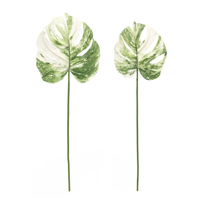 Melrose Light Varigated Philo Leaf Stem, Set of 12, Green/White