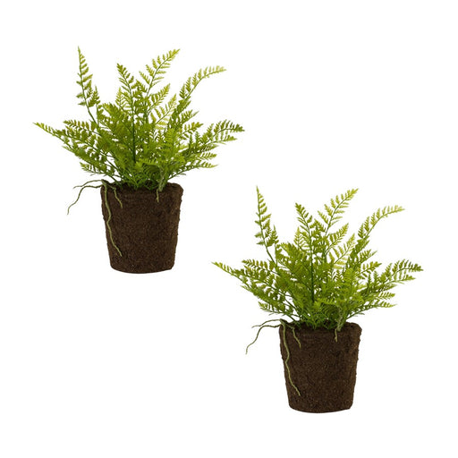 Melrose Varigated Fern Bush/Rooted Base, Set of 2, Green/Brown - 85688DS
