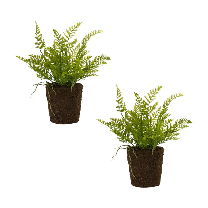 Melrose Varigated Fern Bush/Rooted Base, Set of 2, Green/Brown - 85688DS