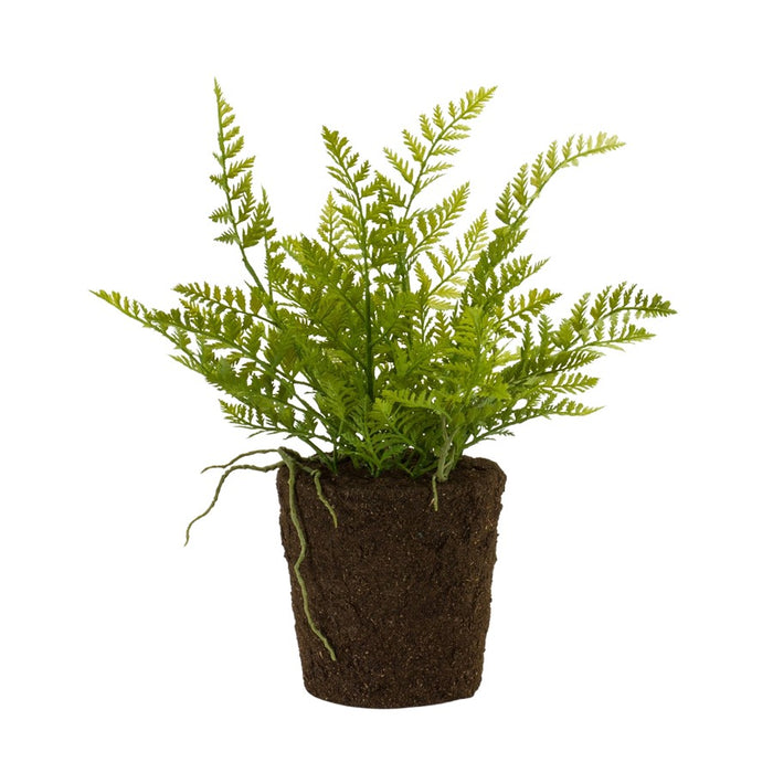 Melrose Varigated Fern Bush/Rooted Base, Set of 2, Green/Brown