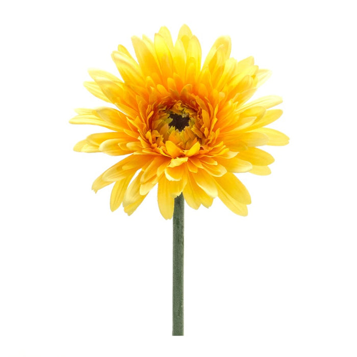 Melrose Int. Gerbera Daisy Floral Stem, Set of 6, Green/Yellow - 85691DS