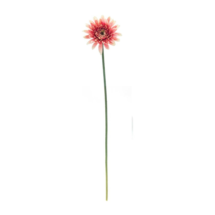 Melrose International Gerbera Daisy Floral Stem, Set of 6, Pink/Green