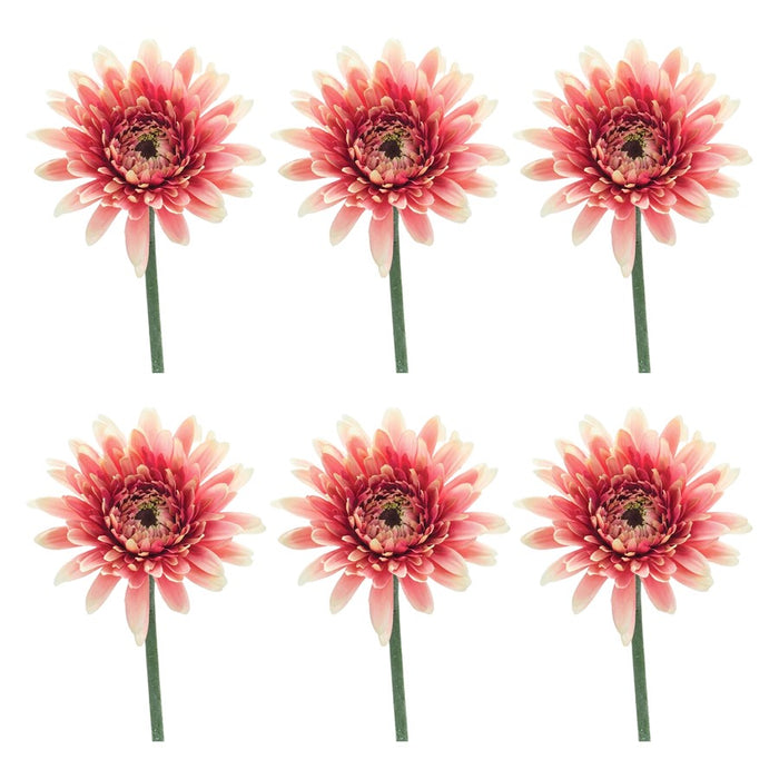 Melrose International Gerbera Daisy Floral Stem, Set of 6, Pink/Green