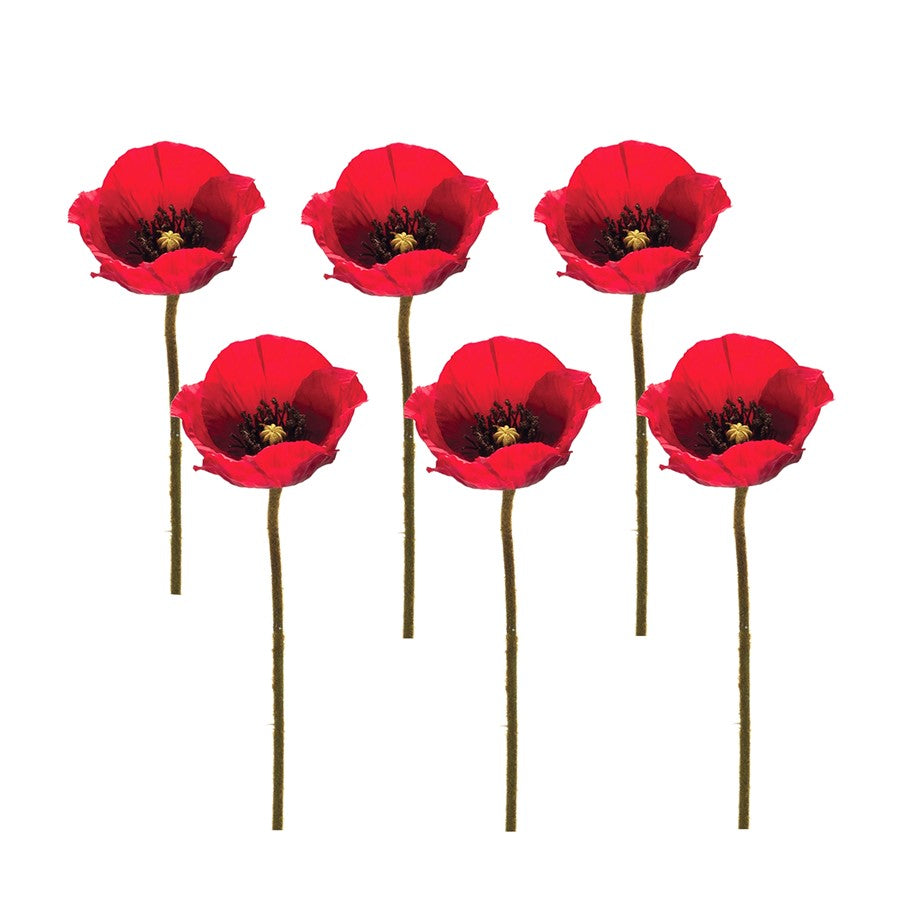 Melrose International Poppy Flower Stem, Set of 6, Green/Red - 85702DS