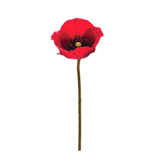 Melrose International Poppy Flower Stem, Set of 6, Green/Red