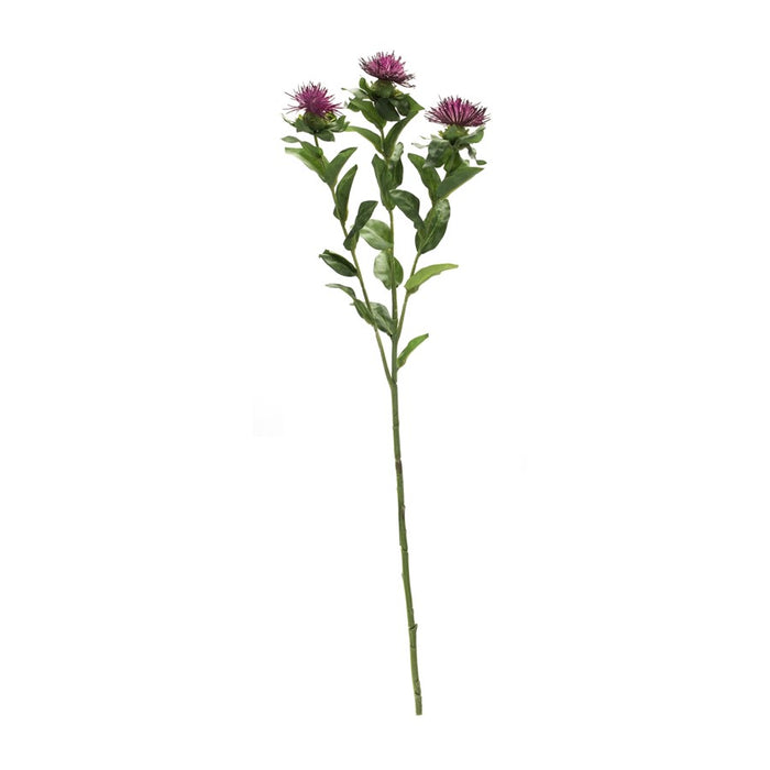 Melrose International Thistle Floral Spray, Set of 6, Green/Purple