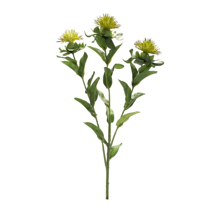 Melrose International Green Thistle Floral Spray, Set of 6