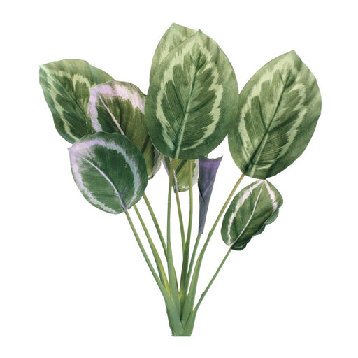 Melrose International Prayer Plant Foliage Bush, Set of 6, Green - 85714DS