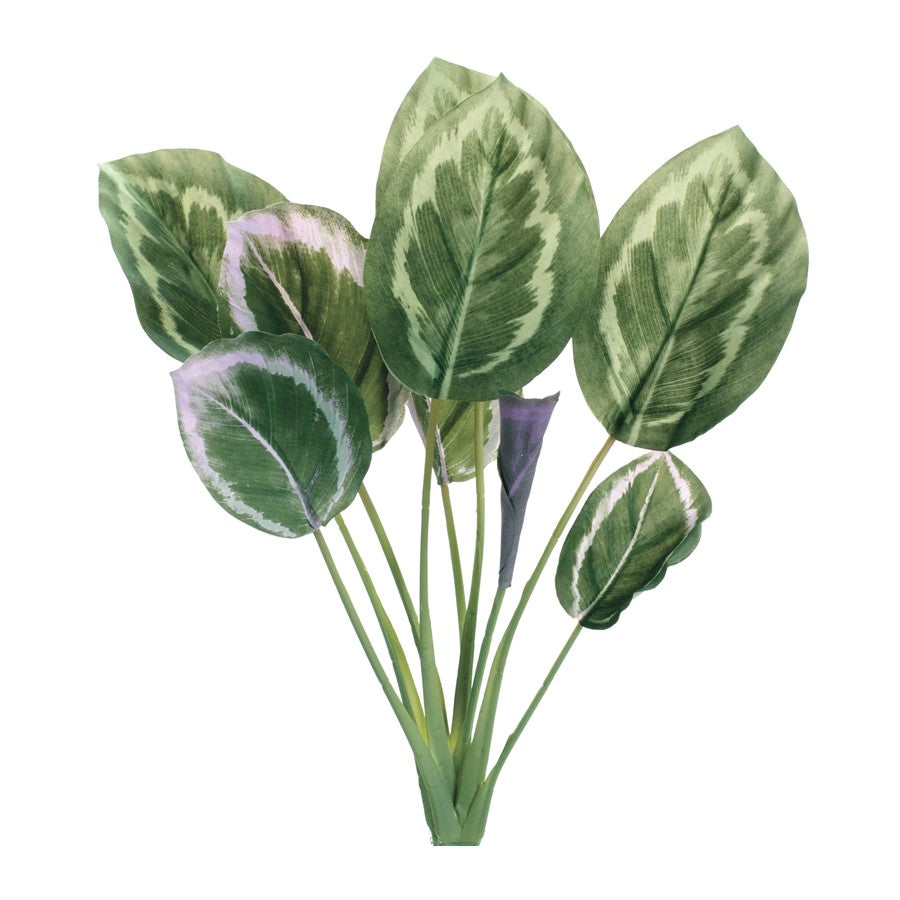 Melrose International Prayer Plant Foliage Bush, Set of 6, Green - 85714DS