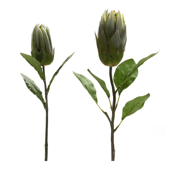 Melrose International Green Protea Leaf Stem, Set of 6