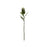Melrose International Green Protea Leaf Stem, Set of 6