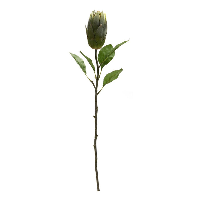 Melrose International Green Protea Leaf Stem, Set of 6