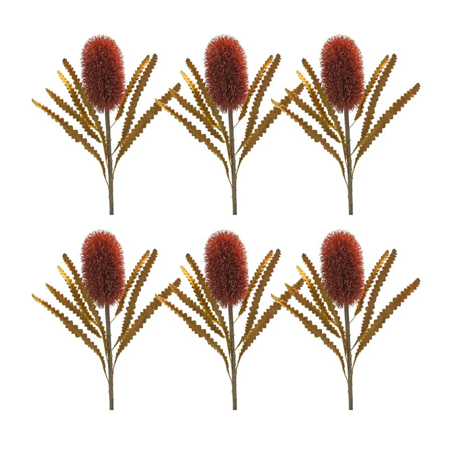 Melrose Burnt Orange Banksia Floral Stem, Set of 6, Green/Red - 85797DS