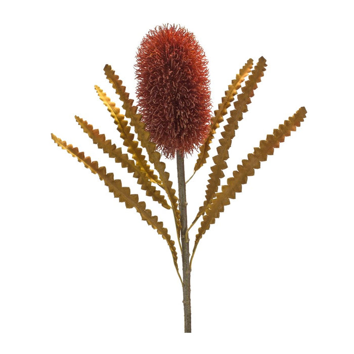 Melrose Burnt Orange Banksia Floral Stem, Set of 6, Green/Red