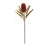 Melrose Burnt Orange Banksia Floral Stem, Set of 6, Green/Red