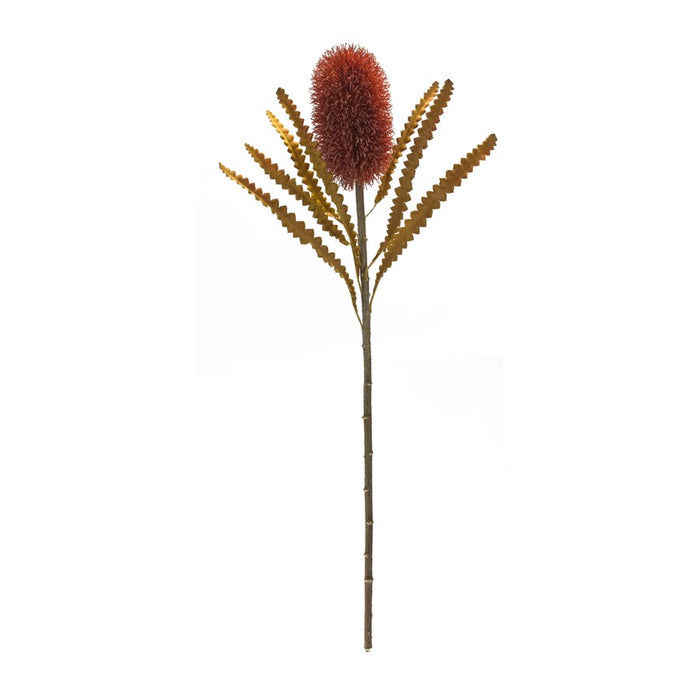 Melrose Burnt Orange Banksia Floral Stem, Set of 6, Green/Red