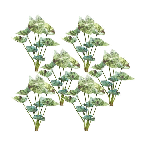 Melrose International Varigated Caladium Foliage Bush, Set of 6, Green - 85806DS