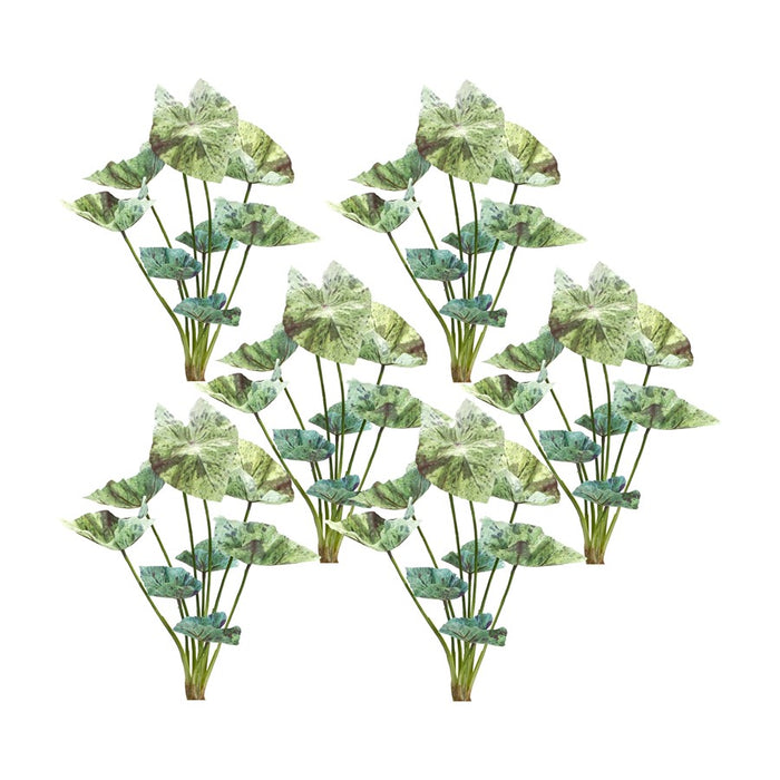 Melrose International Varigated Caladium Foliage Bush, Set of 6, Green - 85806DS