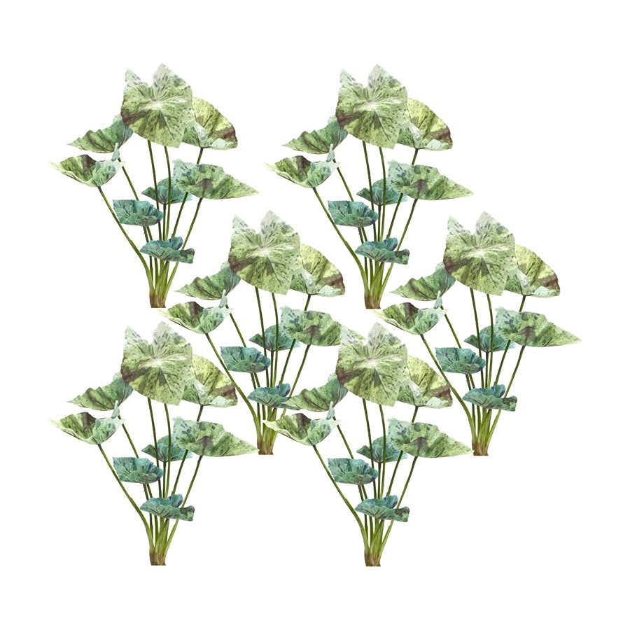Melrose International Varigated Caladium Foliage Bush, Set of 6, Green - 85806DS