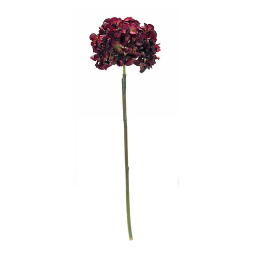 Melrose International Hydrangea Flower Stem, Set of 6, Red/Brown