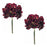Melrose International Hydrangea Flower Stem, Set of 6, Red/Brown