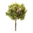 Melrose International Green Hydrangea Flower Stem, Set of 6