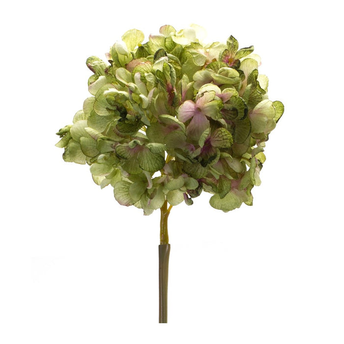 Melrose International Green Hydrangea Flower Stem, Set of 6