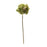 Melrose International Green Hydrangea Flower Stem, Set of 6