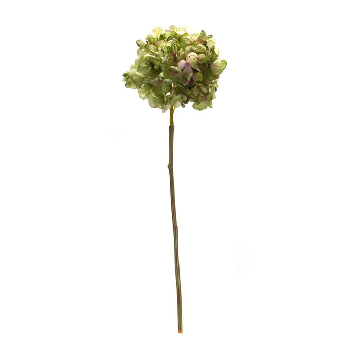 Melrose International Green Hydrangea Flower Stem, Set of 6