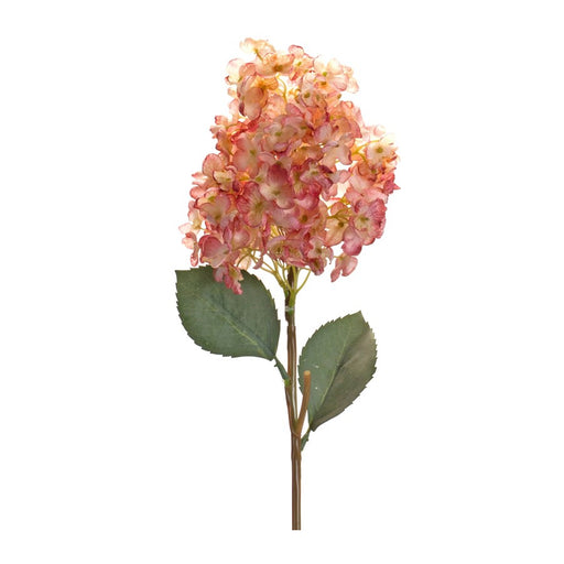 Melrose Coral Cone Hydrangea Flower Stem, Set of 6, Pink/Green