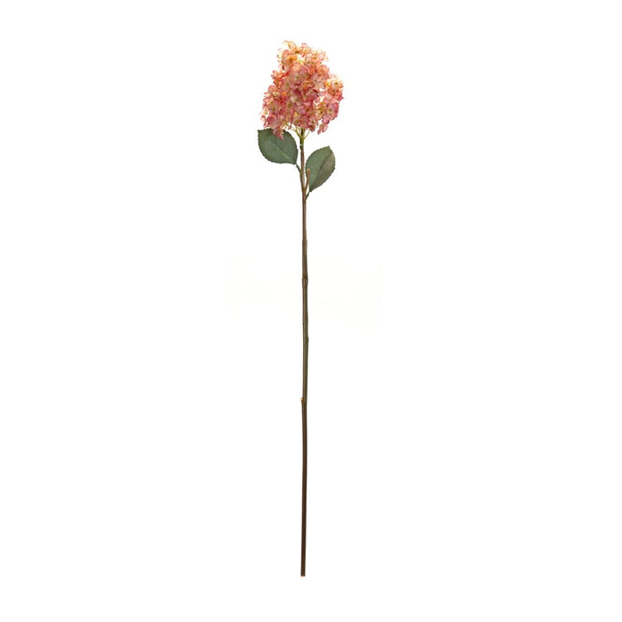 Melrose Coral Cone Hydrangea Flower Stem, Set of 6, Pink/Green