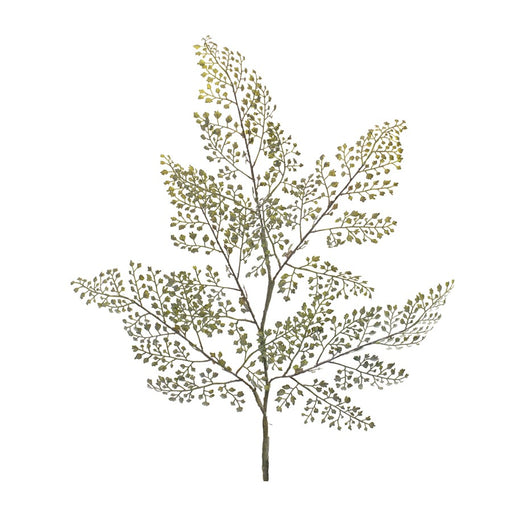 Melrose Maiden Hair Fern Foliage Spray, Set of 6, Green/Brown