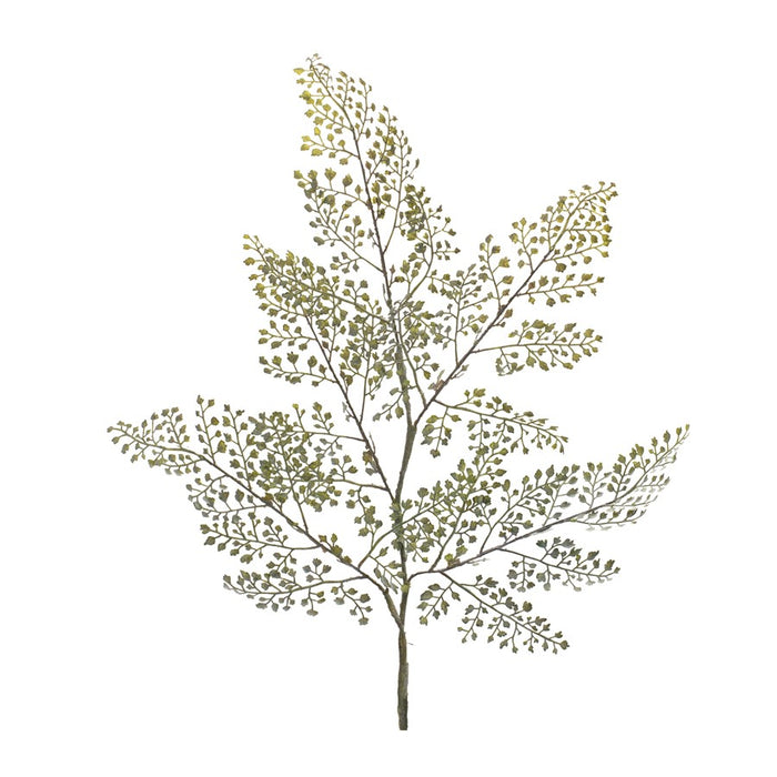 Melrose Maiden Hair Fern Foliage Spray, Set of 6, Green/Brown