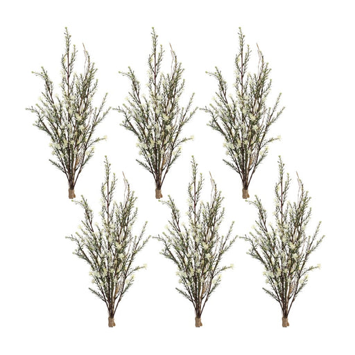 Melrose Leptospermum Flower Bundle, Set of 6, Green/White/Brown - 85829DS