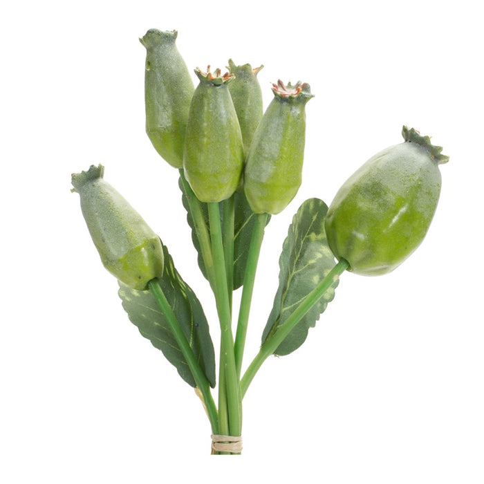 Melrose International Poppy Pod Foliage Bundle, Set of 6, Green/Brown