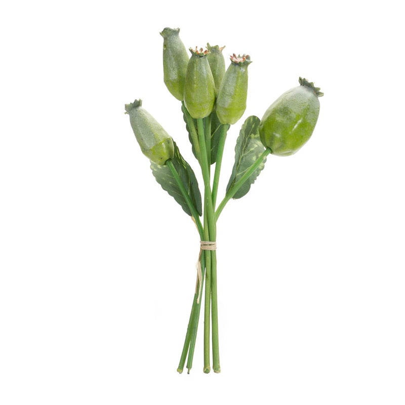 Melrose International Poppy Pod Foliage Bundle, Set of 6, Green/Brown